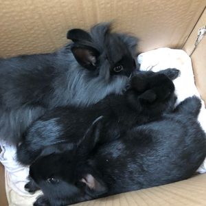 Meet your Posher, Melanie